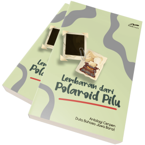Polaroid Pilu
